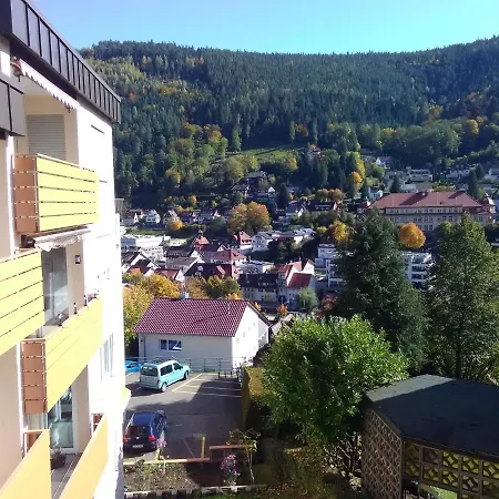 Stadtblick Апартаменты Бад-Вильдбад
